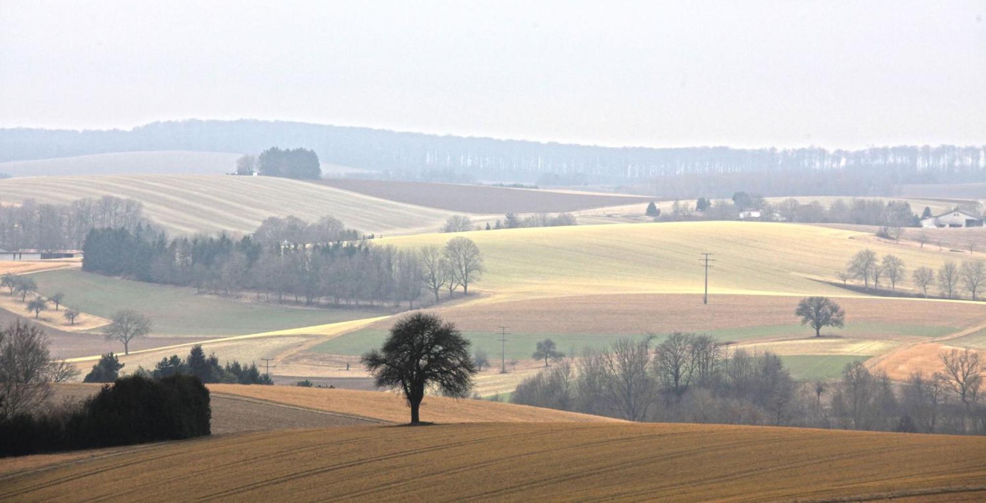 Ferienwohnung Jung Und Lind Bretten Esterno foto